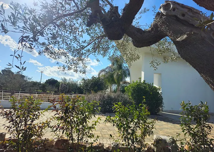 Nilde * Triggianello